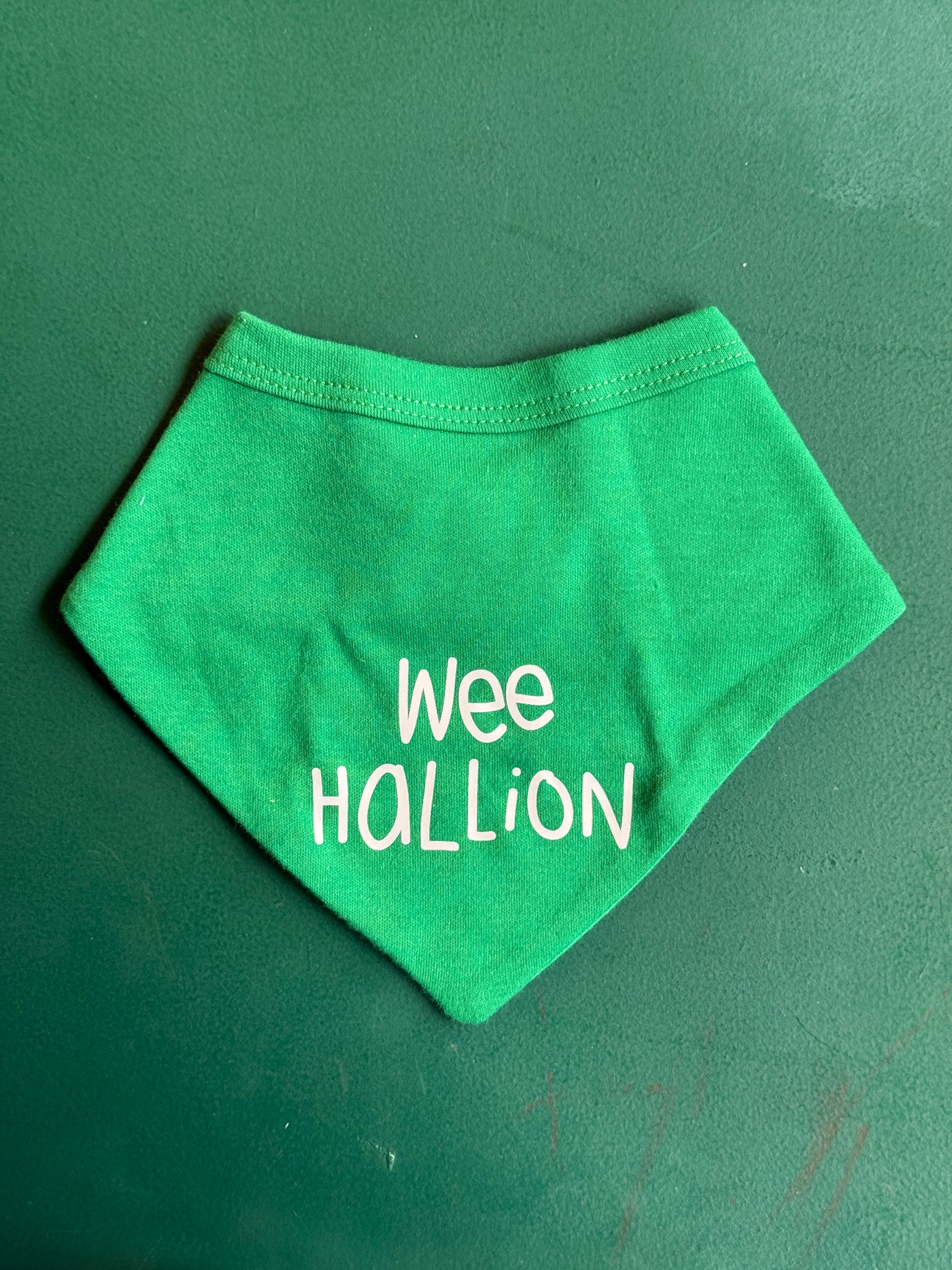 Wee Hallion Dribble Bib