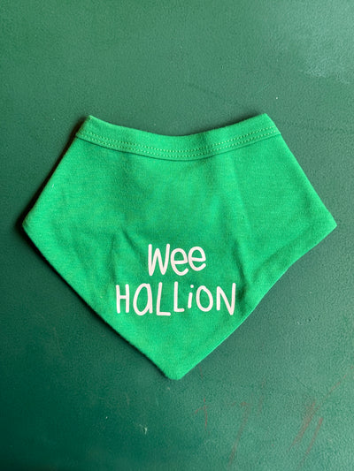 Wee Hallion Dribble Bib