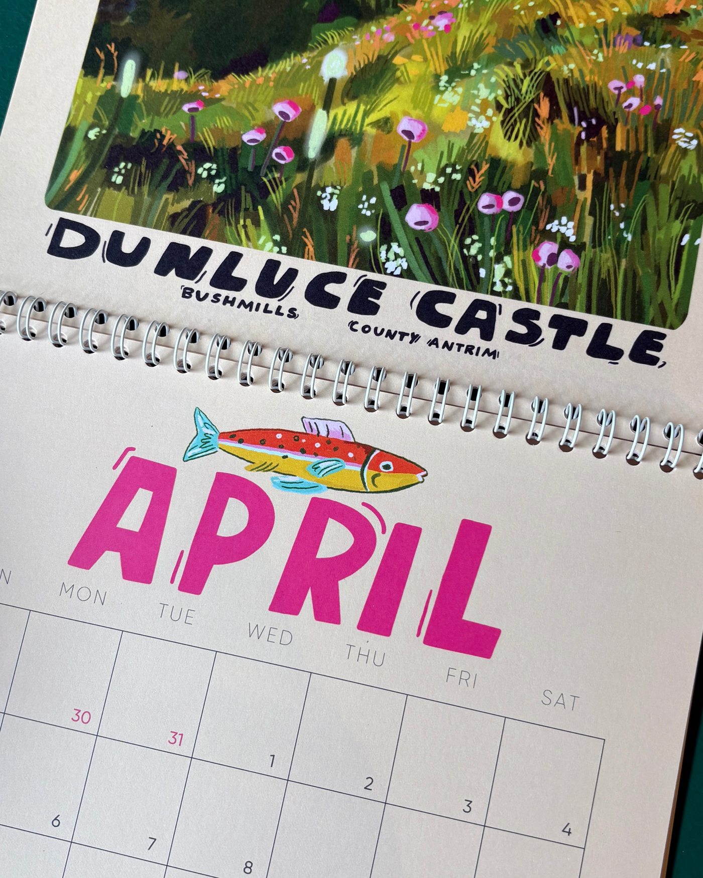 Irish Landscapes 2026 Wall Calendar | Nichola Irvine