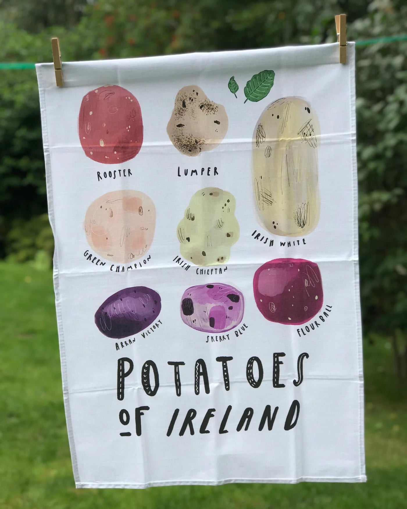 Potatoes of Ireland Tea Towel