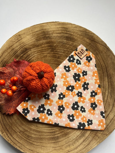 Halloween Bandana For Dogs | Bark & Amble