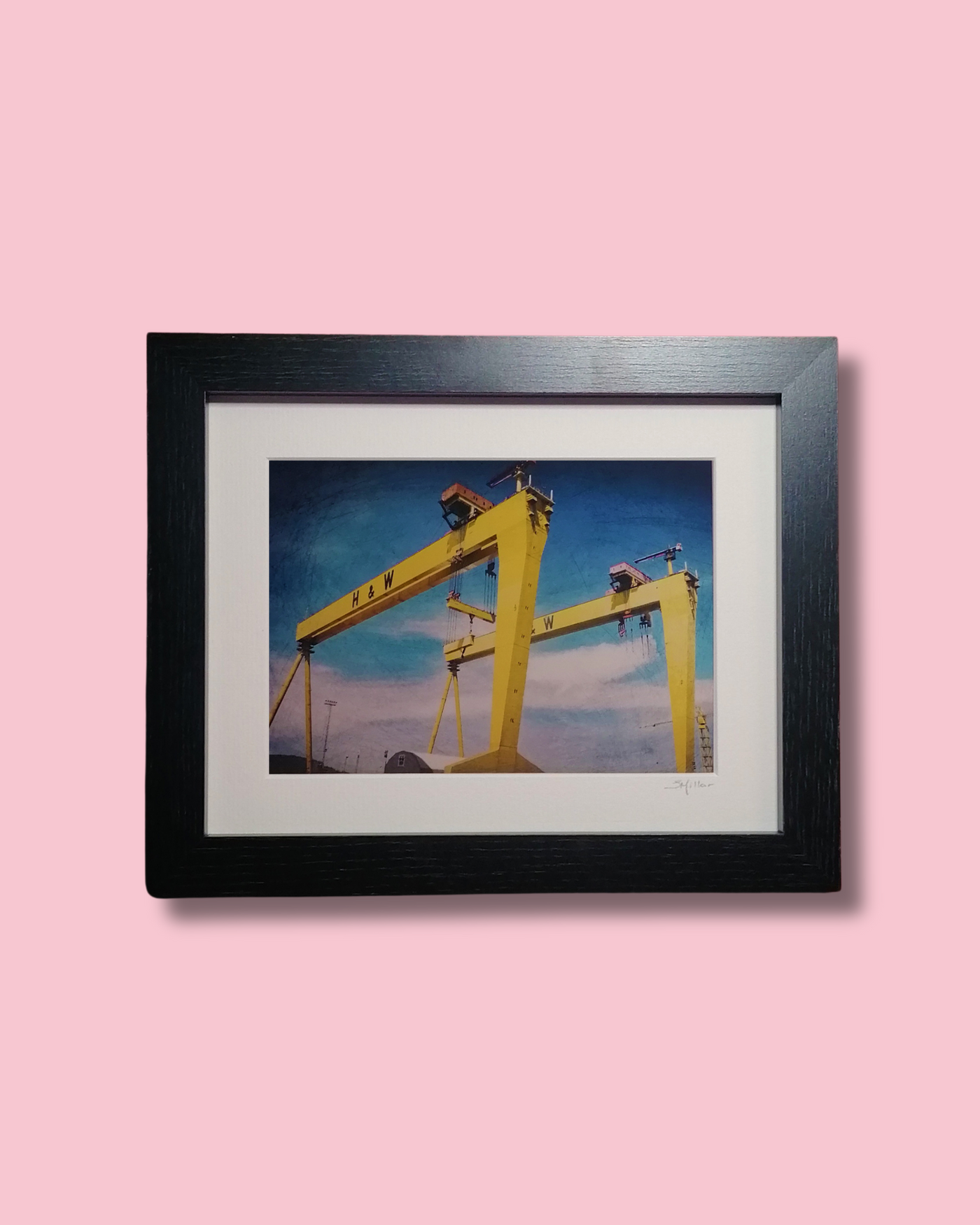 Colour Cranes - Framed Photographic Print